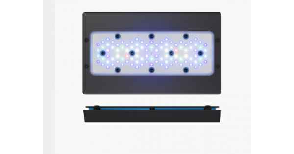EcoTech Radion G6 XR30 Blue LEDs